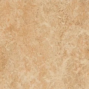 marmoleum decibel on order – 307535 shell
