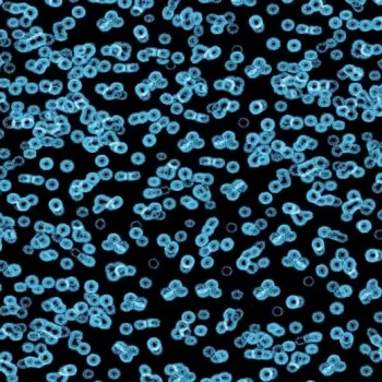 flotex sottsass – 990105 Bacteria