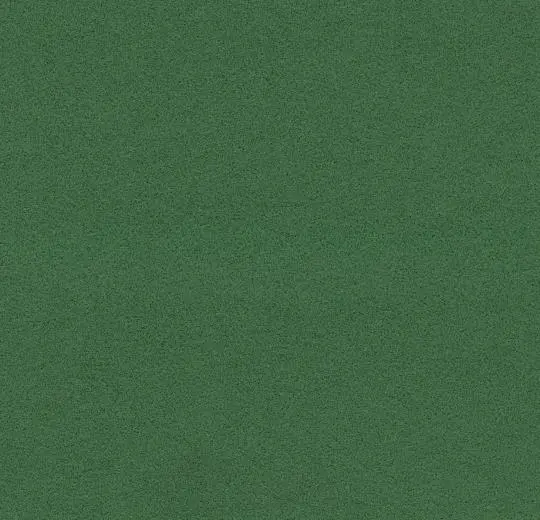 flotex borders – 211088/232088 evergreen