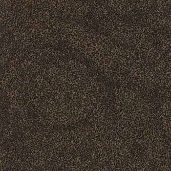 Forte graphic rice