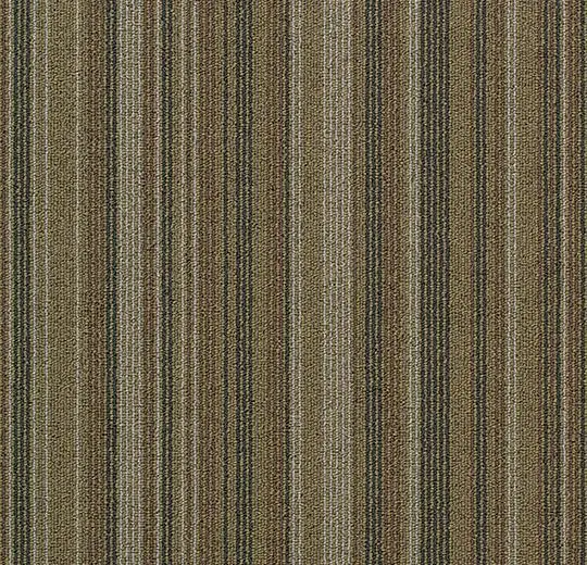 tessera barcode – 311 double yellow line