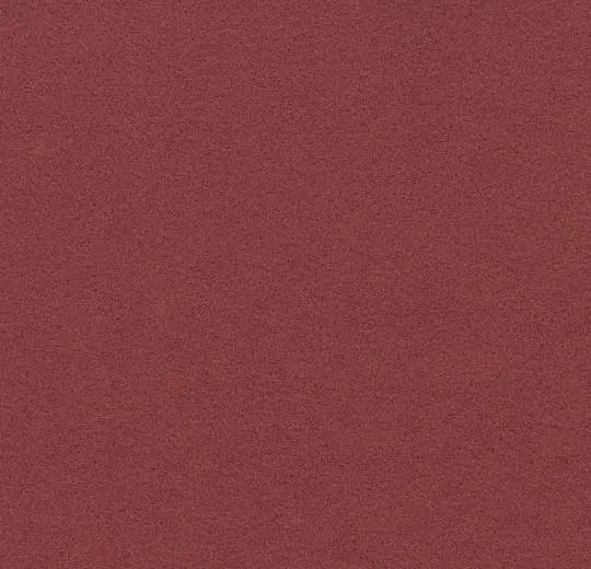 flotex borders – 211083/232083 berry