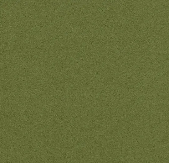 flotex borders – 211087/232087 moss