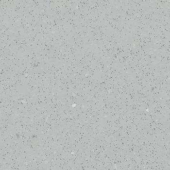 safestep r11 – 174862 silver grey