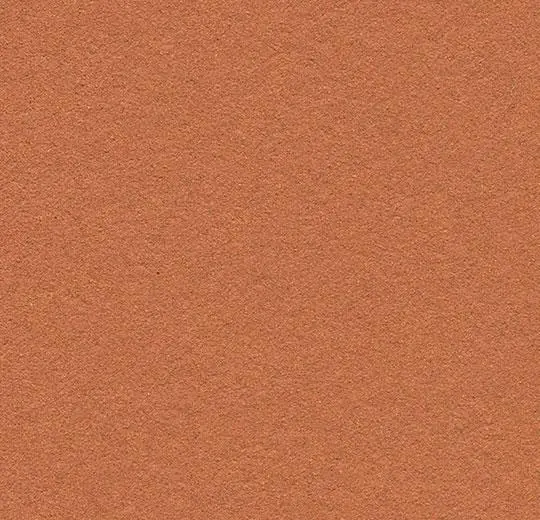 bulletin board – 2207 cinnamon bark