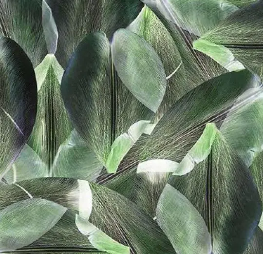 flotex vision floral – 001589 Tulip Field Green