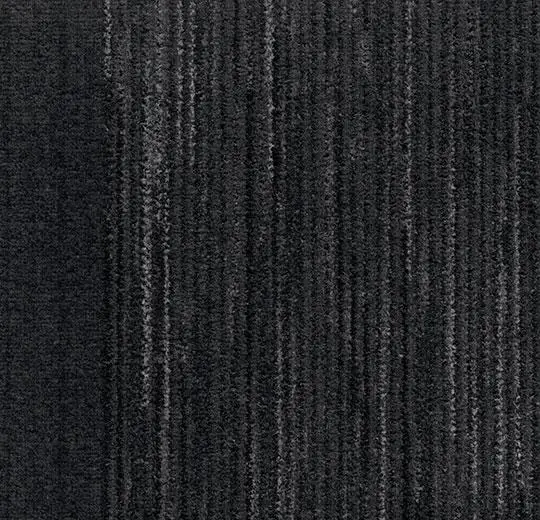 coral interior – 1530 midnight shadow