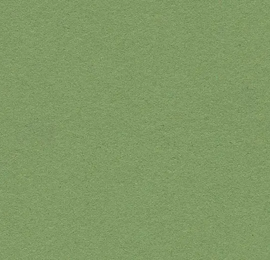 bulletin board – 2213 baby lettuce