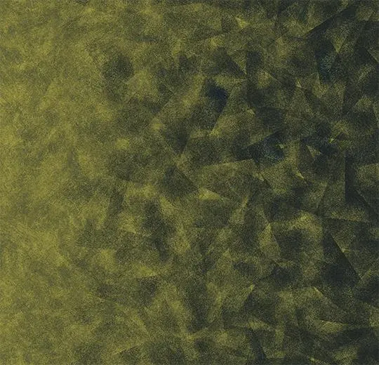 flotex by starck – 322012 Artist emerald / chartreuse B2