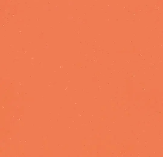 eternal colour – 40782 papaya