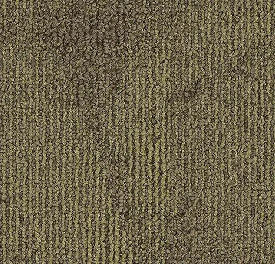 tessera diffusion – 2008 forest trail