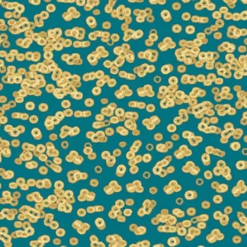 flotex sottsass – 990503 Bacteria