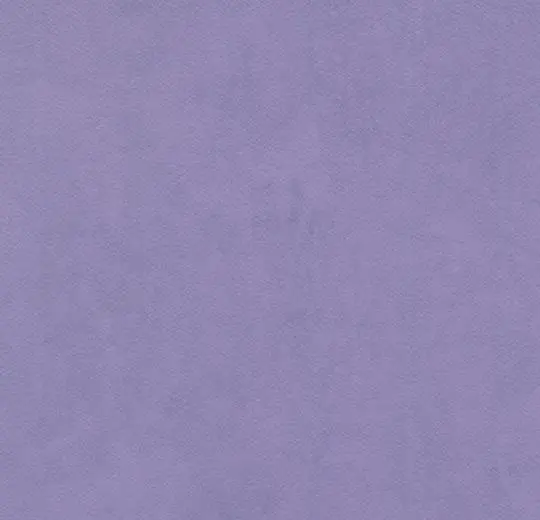 onyx + – 26537 lilac accent