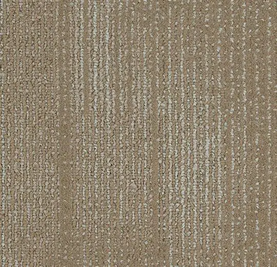 tessera contour – 1902 neutral buff