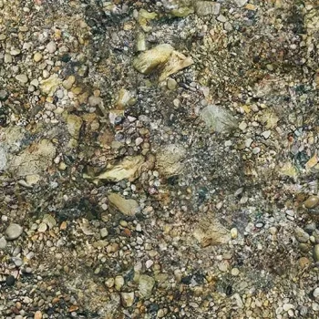 flotex vision image – 000368 riverbed