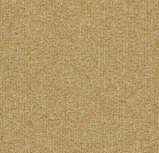 tessera basis pro – 4202 buttercup
