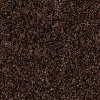 coral brush – 5724 chocolate brown