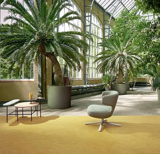marmoleum decibel on order – 325935 mustard