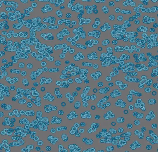 flotex sottsass – 990303 Bacteria