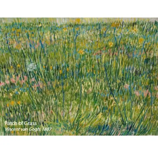 flotex vision pattern – 941 Patch of Grass