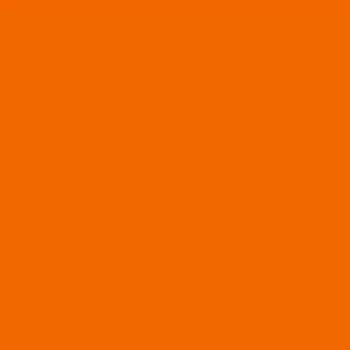 coral logo – 04