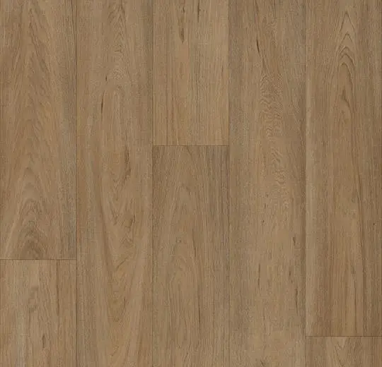 eternal original – 68972 country oak