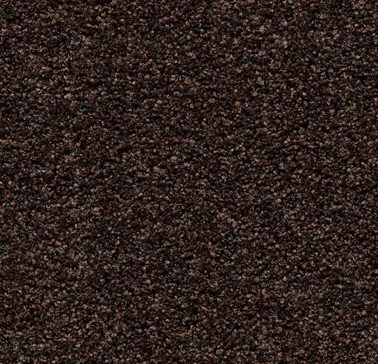 coral bright – 2606 fine peat