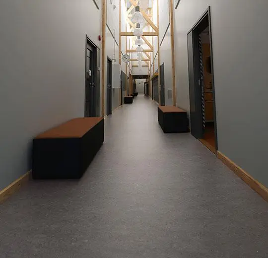 marmoleum 2.0 – 2629 eiger