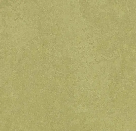 marmoleum decibel on order – 326535 avocado