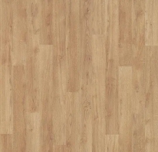 eternal wood – 11912 whitewashed oak