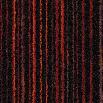 coral welcome – 3206 volcano