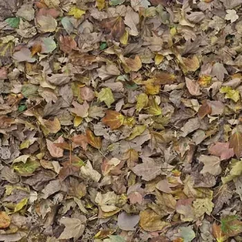 heterojen vinil natural world – 000509E autumn leaves – green