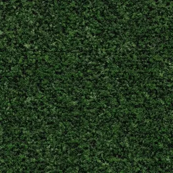 coral brush – 5708 avocado green