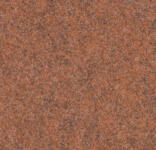 forte – 96006
