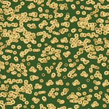 flotex sottsass – 990502 Bacteria