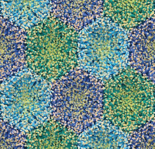 heterojen vinil designers/artist koleksiyonu – 360001E blue anemone