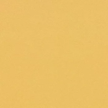 sarlon 19db colour – 4805T4319 golden stardust