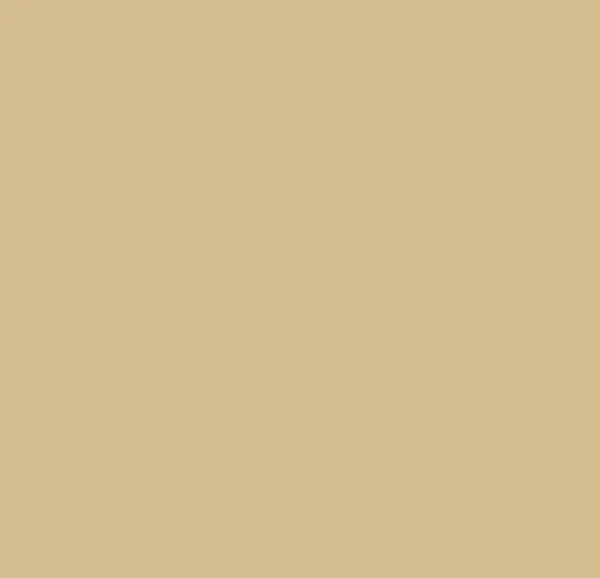 coral logo – 34