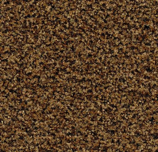coral karo – 5716 masala brown