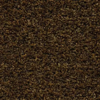 coral brush – 5736 cinnamon brown