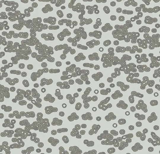 flotex sottsass – 990201 Bacteria
