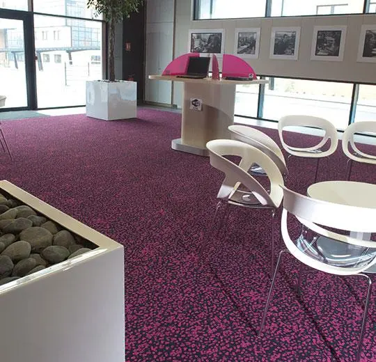 flotex sottsass – 990101 Bacteria
