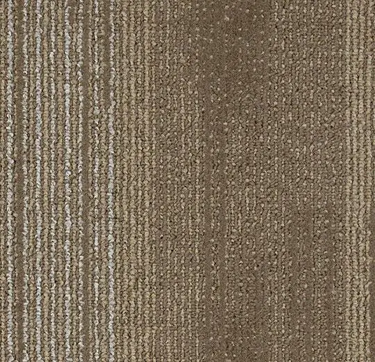 tessera contour – 1900 painted bark