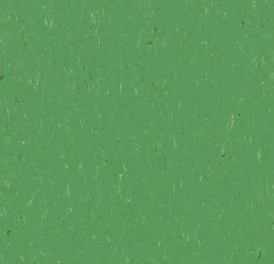 marmoleum solid – 3647 nettle green