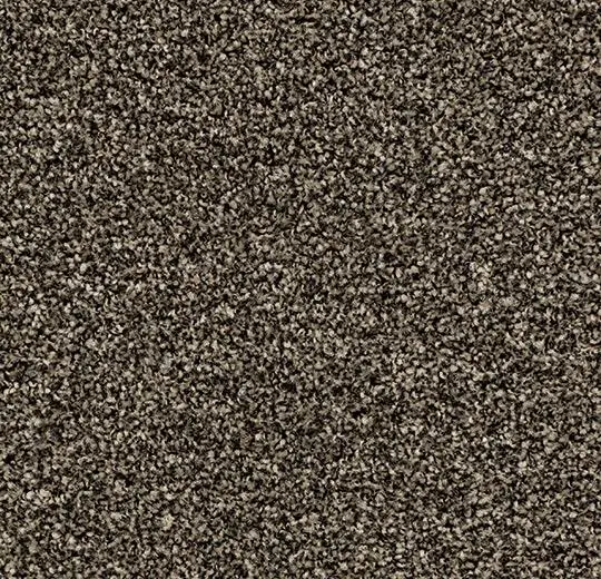 coral karo – 2604 virgin sand