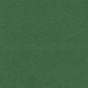 flotex borders – 211088/232088 evergreen