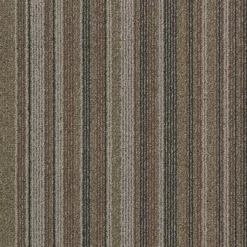 tessera barcode – 314 time line