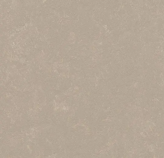 marmoleum concrete – 3708/370835 fossil *
