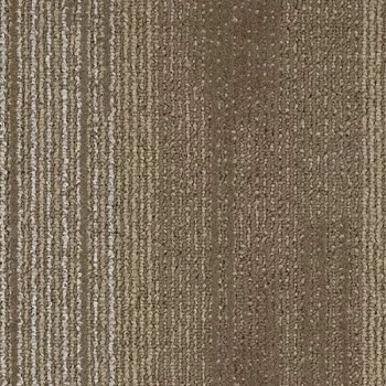 tessera contour – 1900 painted bark