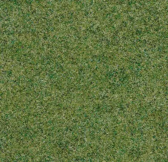 forte – 96008